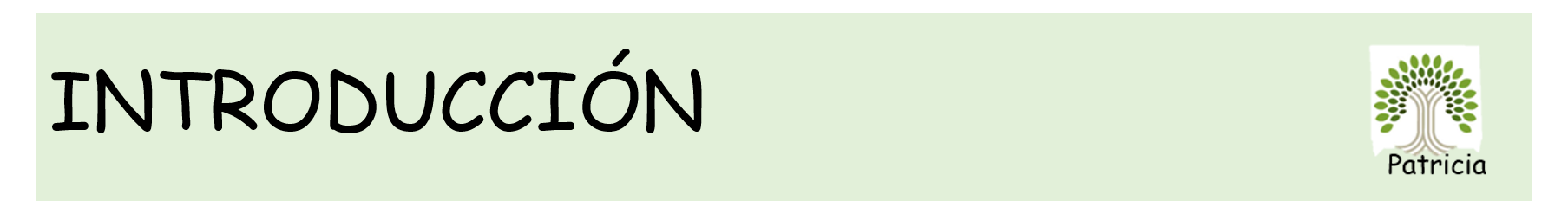 Banner de introduccion