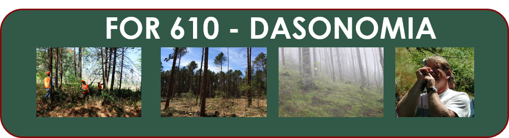 El nombre del curso en la parte superior, y fotografías alusivas a los temas en la parte inferior